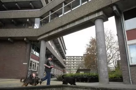 80 appartementen Sterflat 2 | iPlus