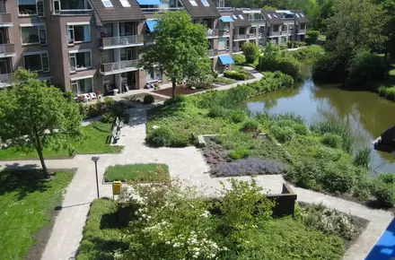 127 seniorenappartementen Bermensteyn | iPlusBUS