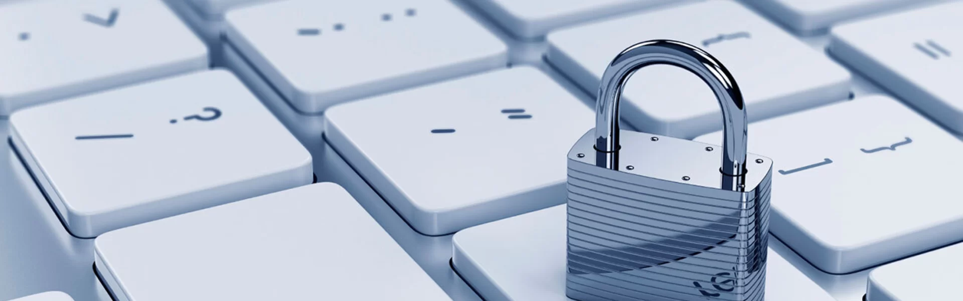 Privacy Statement  (AVG)